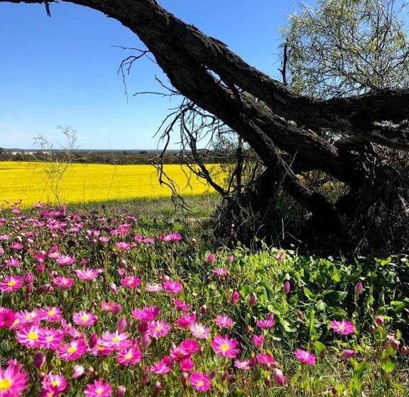 בית מלון כפרי The Coorow