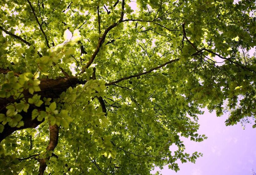 Boshotel   Vlodrop, Roermond