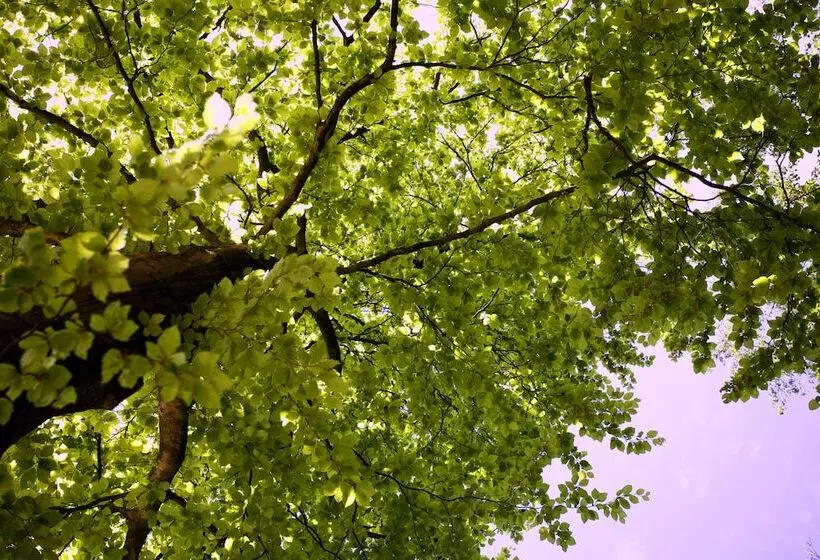 Boshotel   Vlodrop, Roermond