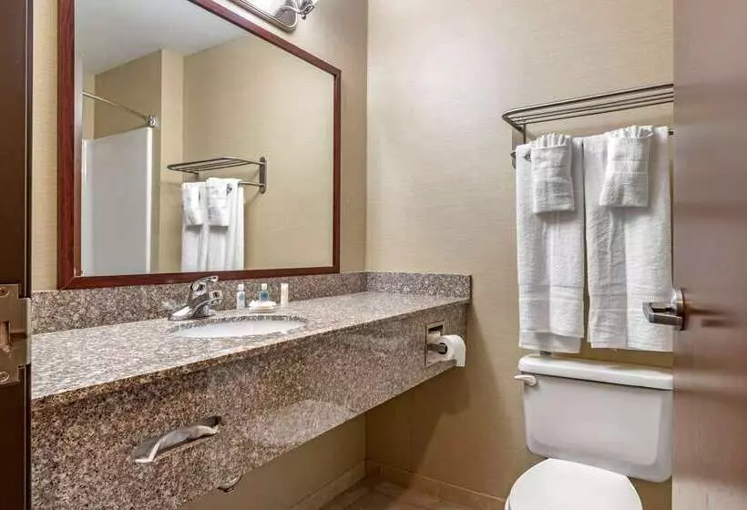 هتل Comfort Inn Williamsport
