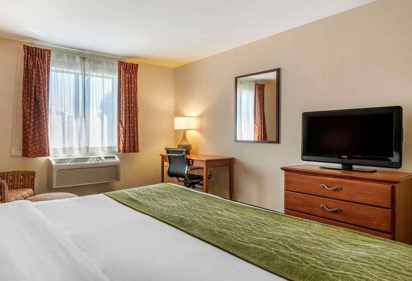 ホテル Comfort Inn Williamsport