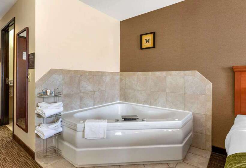 ホテル Comfort Inn Williamsport