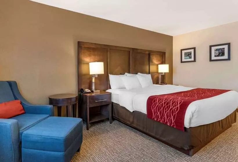 هتل Comfort Inn Williamsport