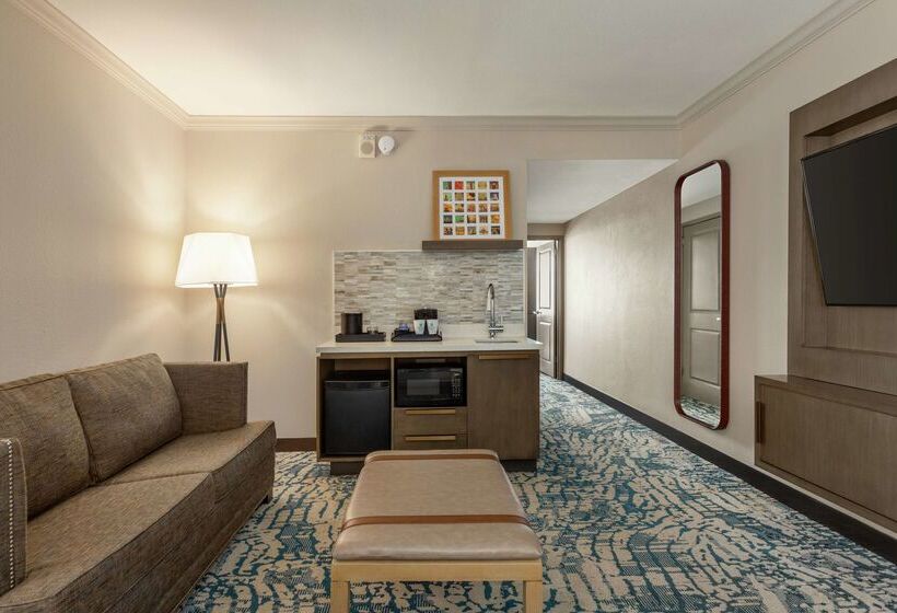 ホテル Embassy Suites By Hilton Tampa Downtown Convention Center