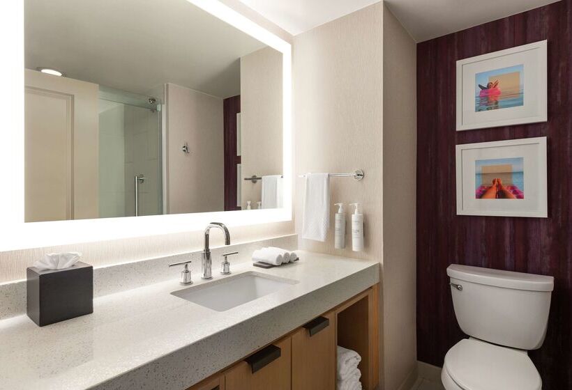 ホテル Embassy Suites By Hilton Tampa Downtown Convention Center