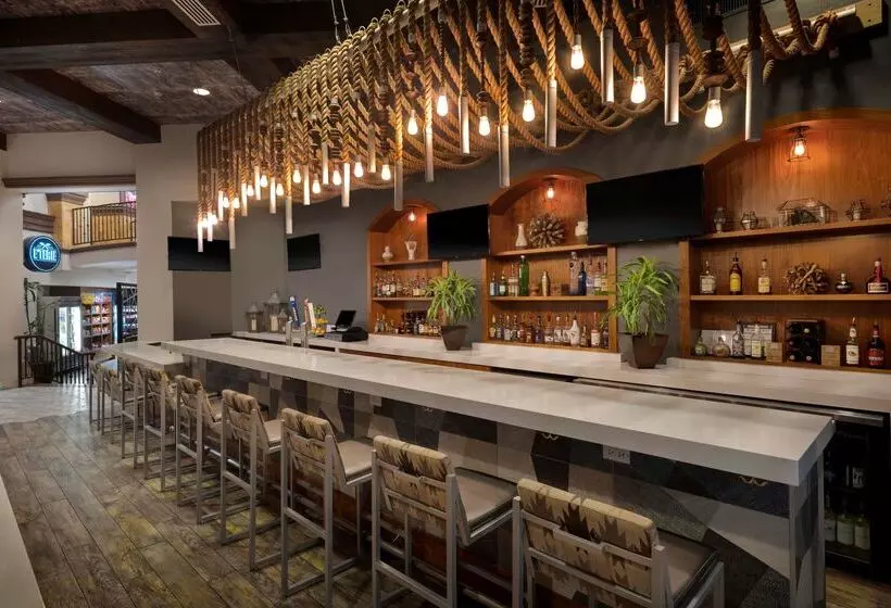 هتل Embassy Suites By Hilton Tucson Paloma Village