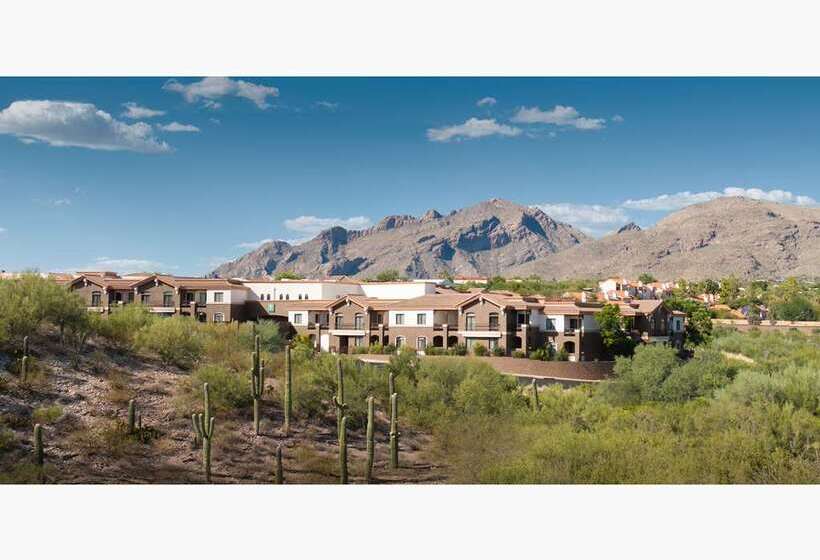 ホテル Embassy Suites By Hilton Tucson Paloma Village
