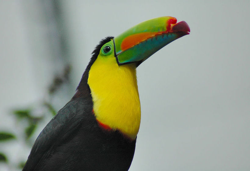 ホテル Hacienda Pozo Azul