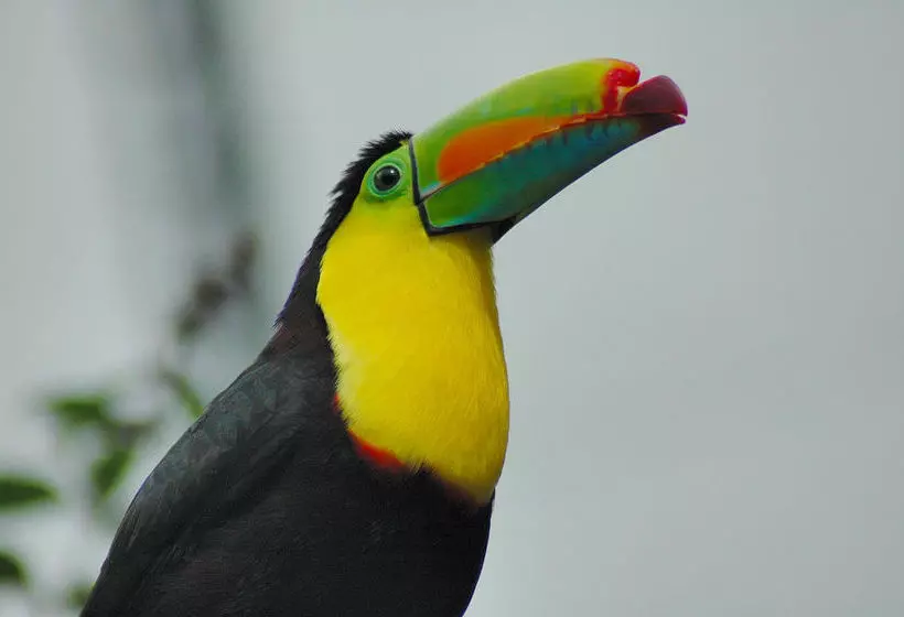 호텔 Hacienda Pozo Azul