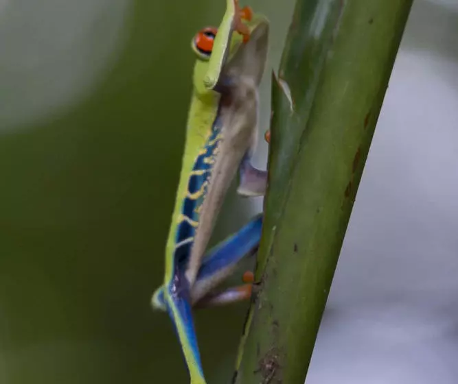 호텔 Hacienda Pozo Azul