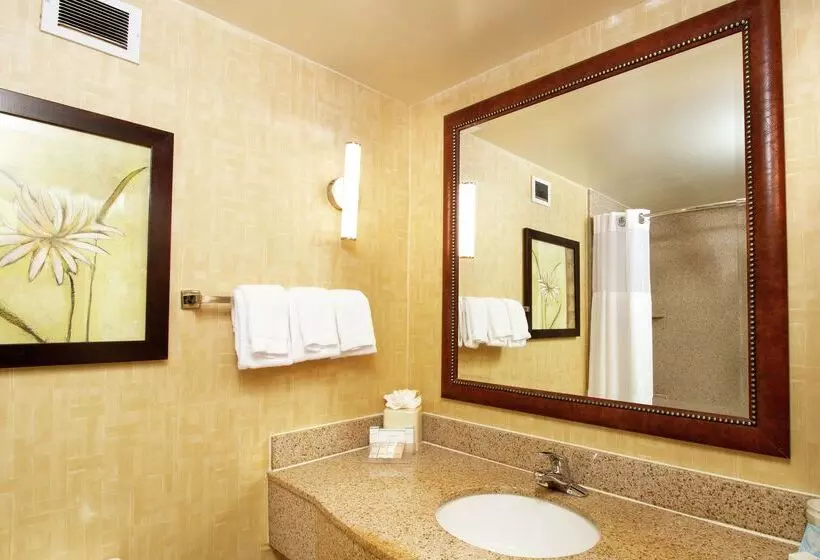 酒店 Hilton Garden Inn Anderson