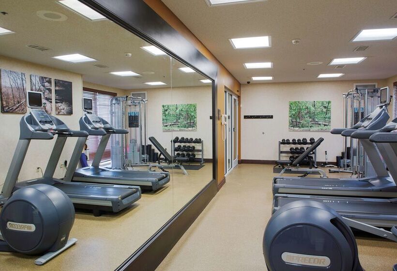 Отель Hilton Garden Inn Bentonville Rogers