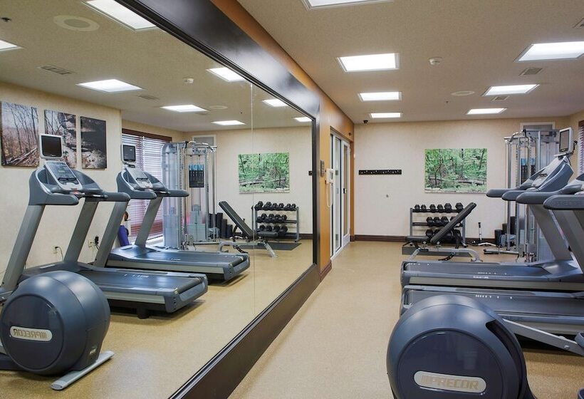 Отель Hilton Garden Inn Bentonville Rogers