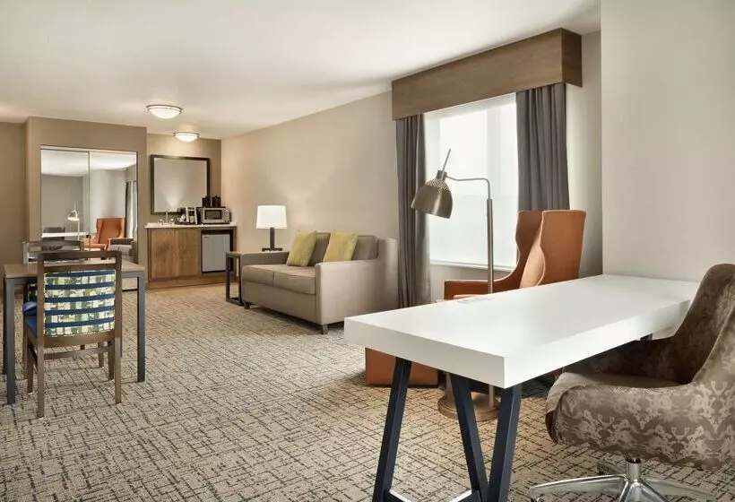 Hotel Hilton Garden Inn Dubuque Downtown