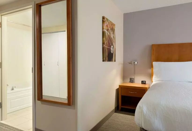 ホテル Hilton Garden Inn Fredericksburg