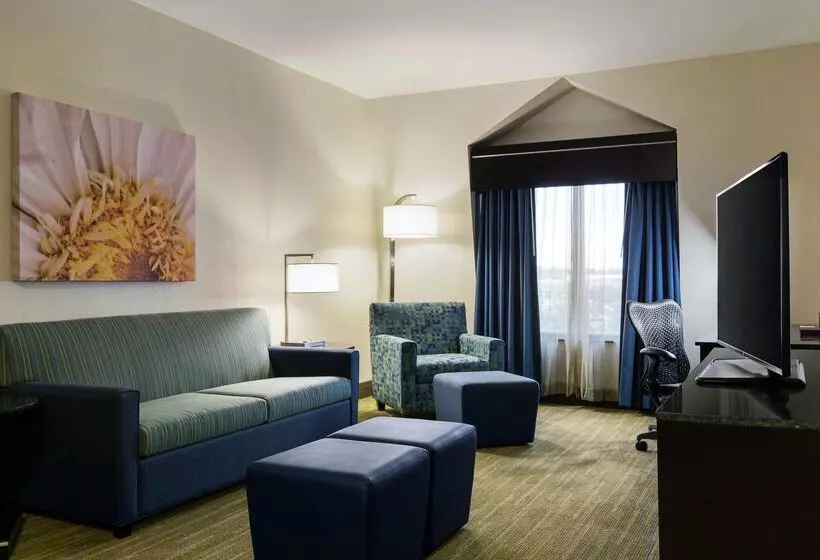 Hotel Hilton Garden Inn Houston Nw/willowbrook