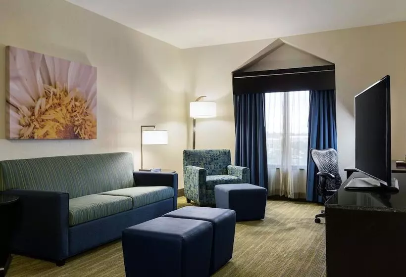 Hotel Hilton Garden Inn Houston Nw/willowbrook