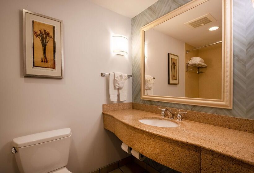 فندق Hilton Garden Inn Mystic/groton