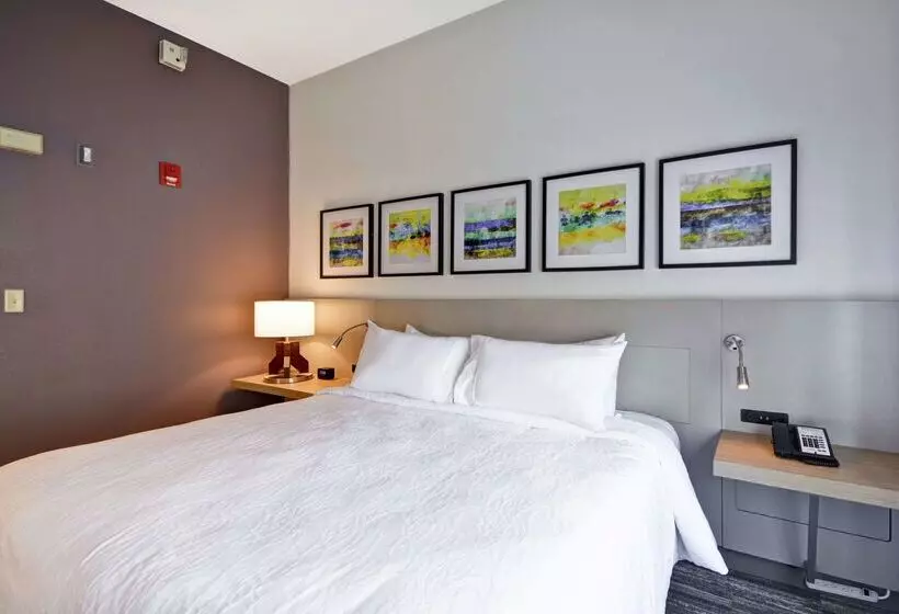 هتل Hilton Garden Inn Panama City