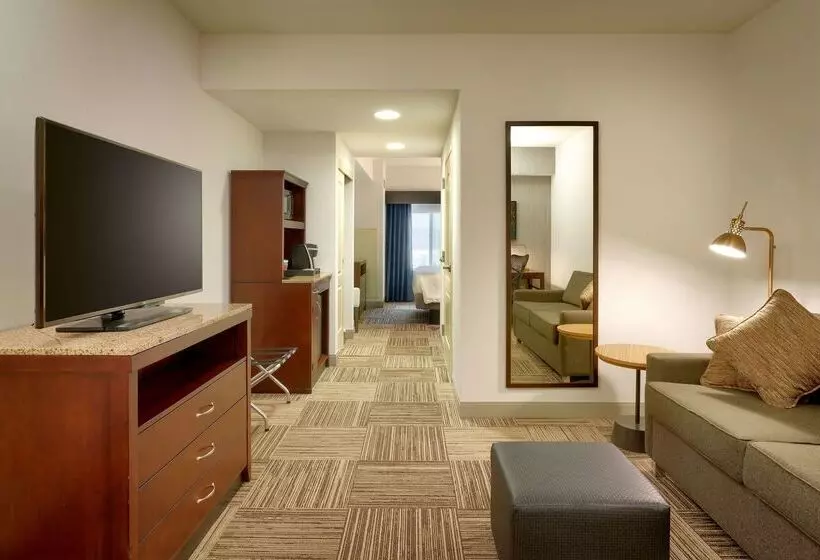 酒店 Hilton Garden Inn Salt Lake City/sandy