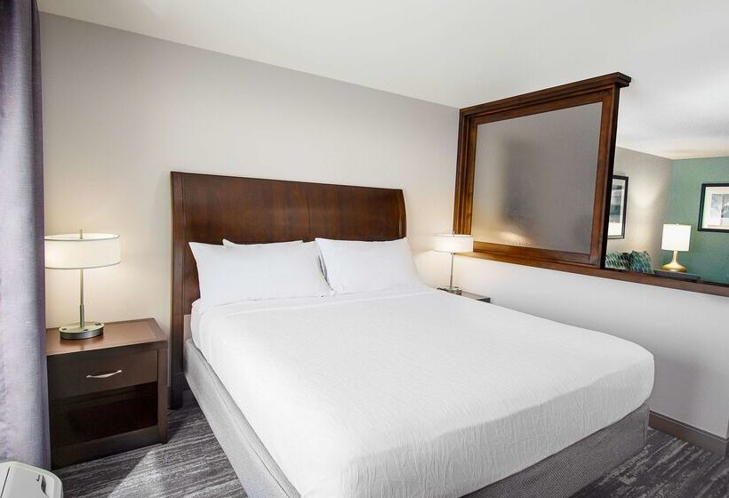 فندق Hilton Garden Inn South Bend