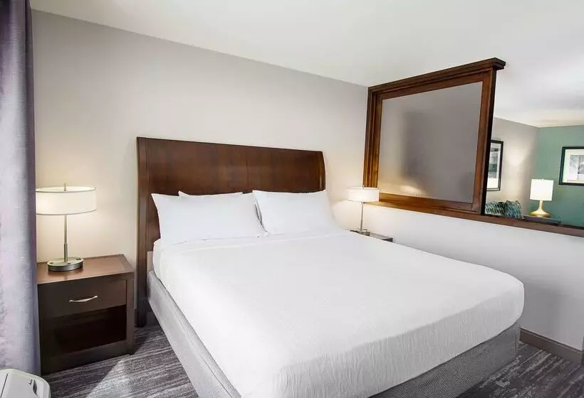 هتل Hilton Garden Inn South Bend