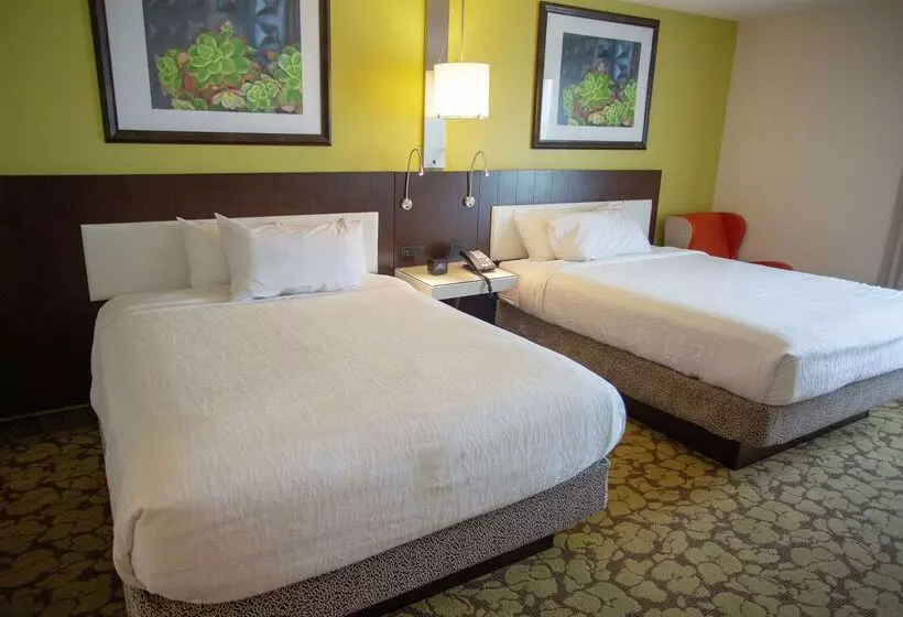 ホテル Hilton Garden Inn Temple Medical Center