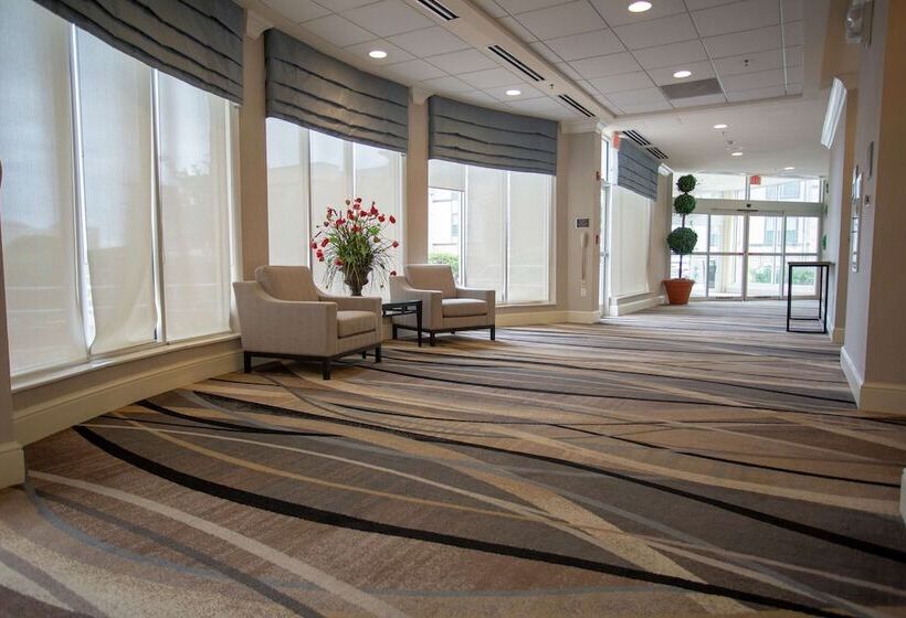 Отель Hilton Garden Inn Temple Medical Center