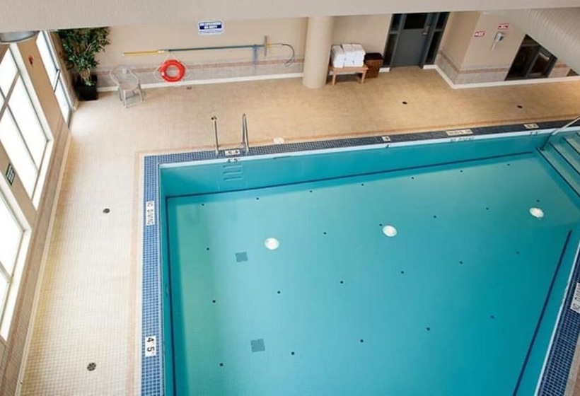 Отель Paradise Inn And Suites