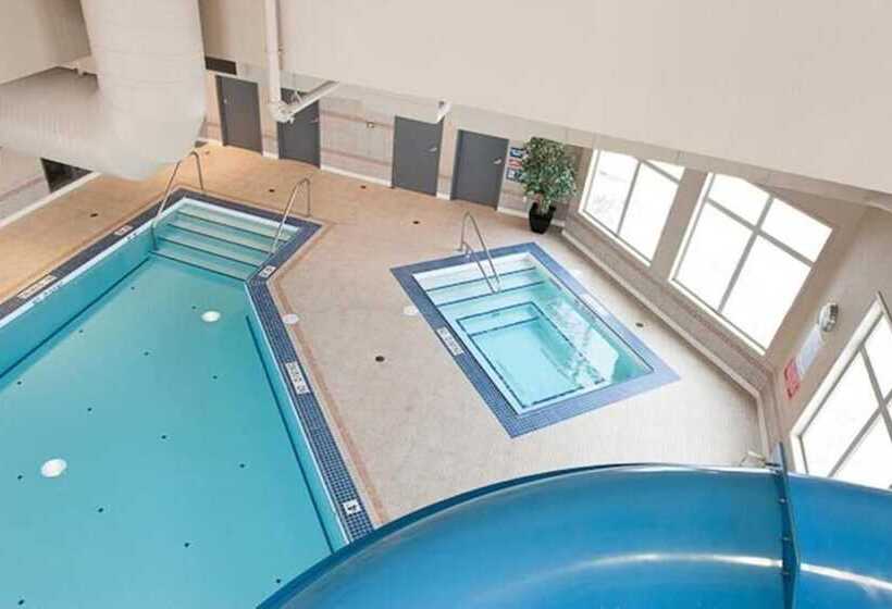 Отель Paradise Inn And Suites