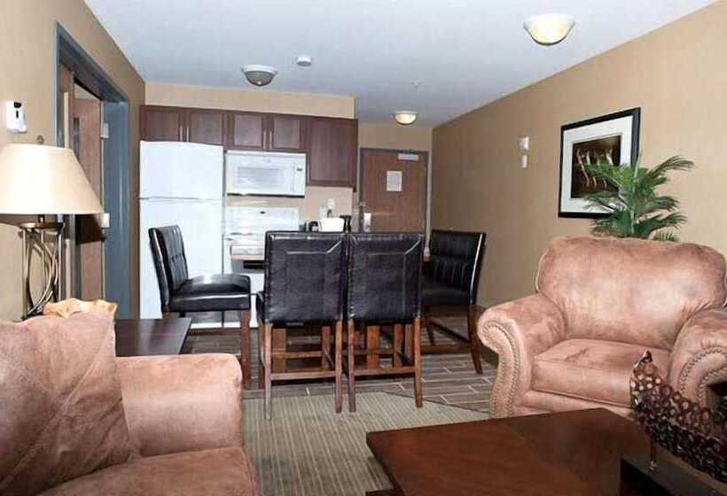 Отель Paradise Inn And Suites