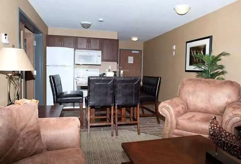 酒店 Paradise Inn And Suites