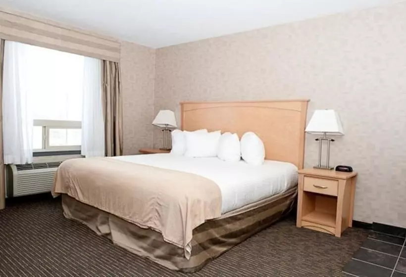 酒店 Paradise Inn And Suites