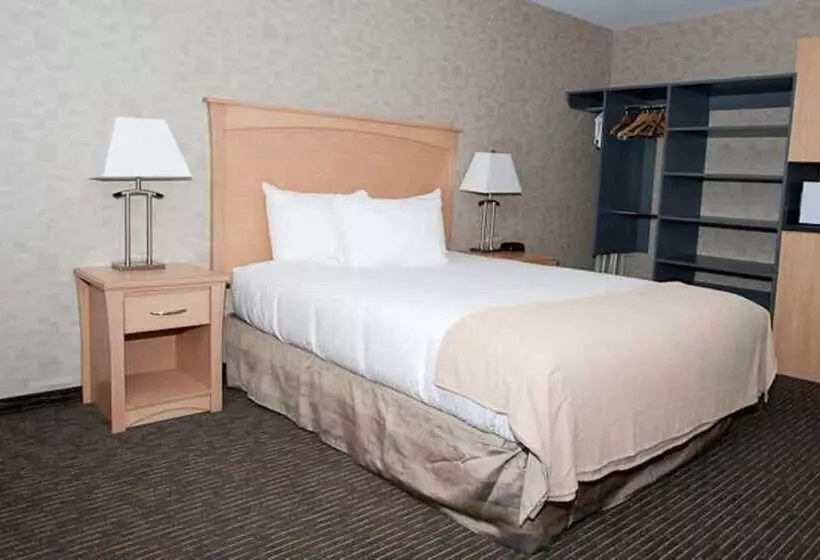 酒店 Paradise Inn And Suites