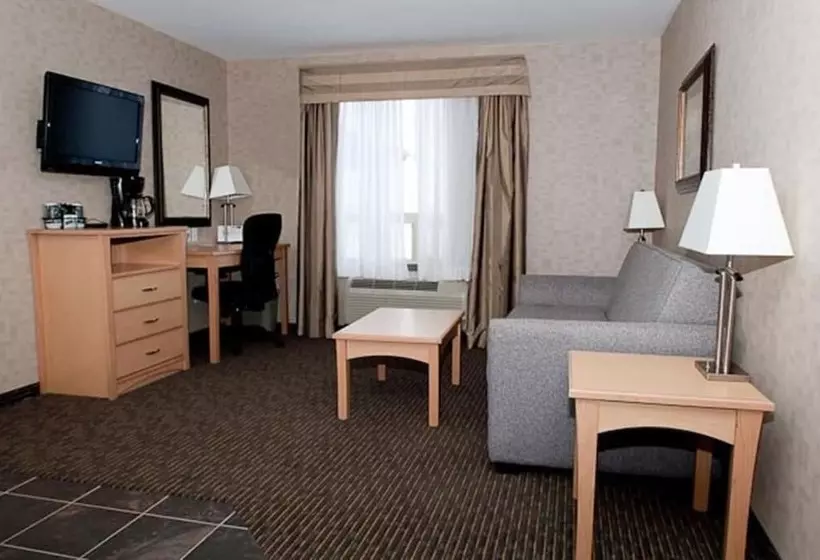 酒店 Paradise Inn And Suites