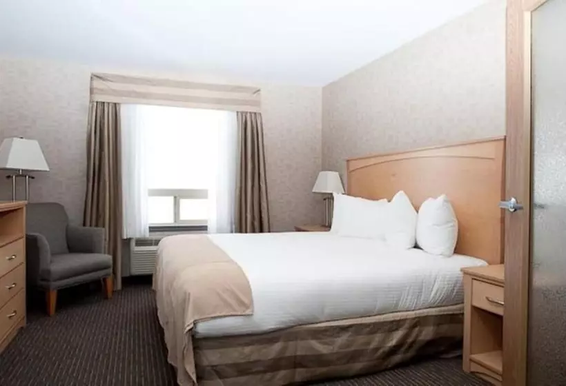 酒店 Paradise Inn And Suites