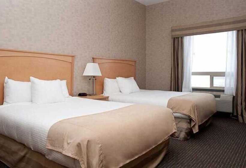 Отель Paradise Inn And Suites