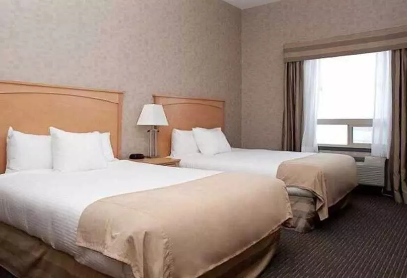 酒店 Paradise Inn And Suites