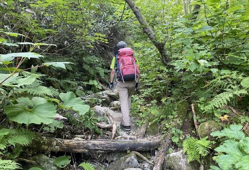 فندق صغير Rusutsu Grand Cabin