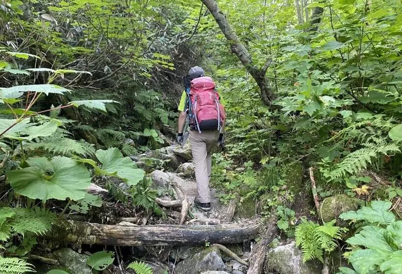 ユースホステル Rusutsu Grand Cabin