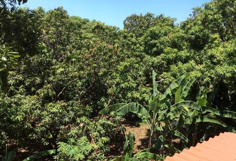 Bed & Breakfast Cotton House De Labrador