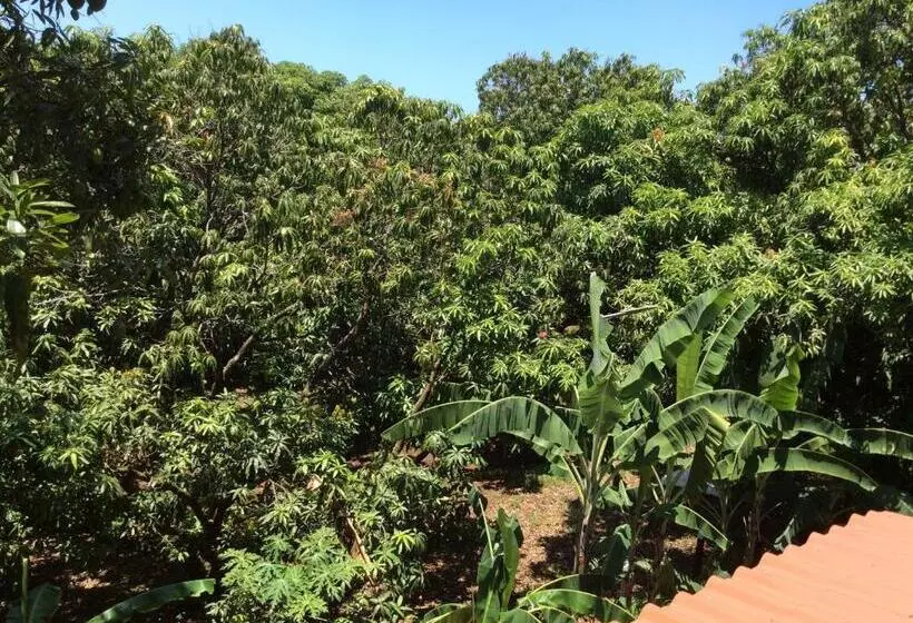 Aamiaismajoitus (B&B) Cotton House De Labrador