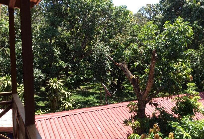 Bed & Breakfast Cotton House De Labrador