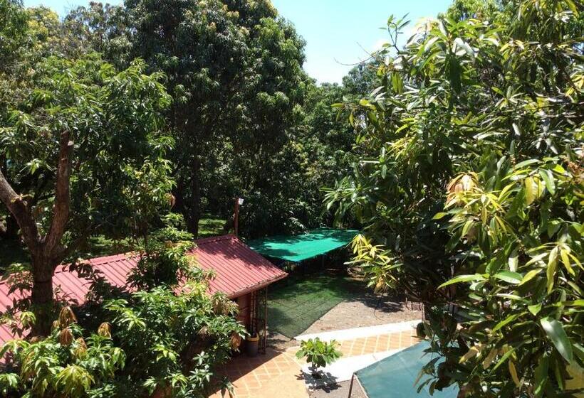 Bed & Breakfast Cotton House De Labrador