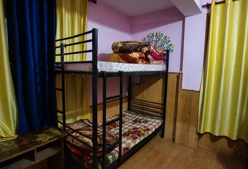 هاستل Voyageur Nest