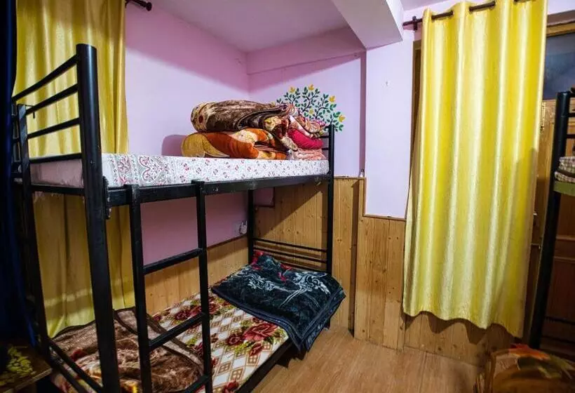 هاستل Voyageur Nest