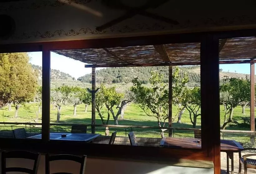 تختخواب و صبحانه Agriturismo La Mandragola Relais