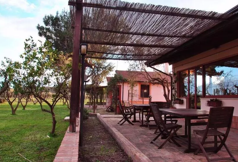 تختخواب و صبحانه Agriturismo La Mandragola Relais