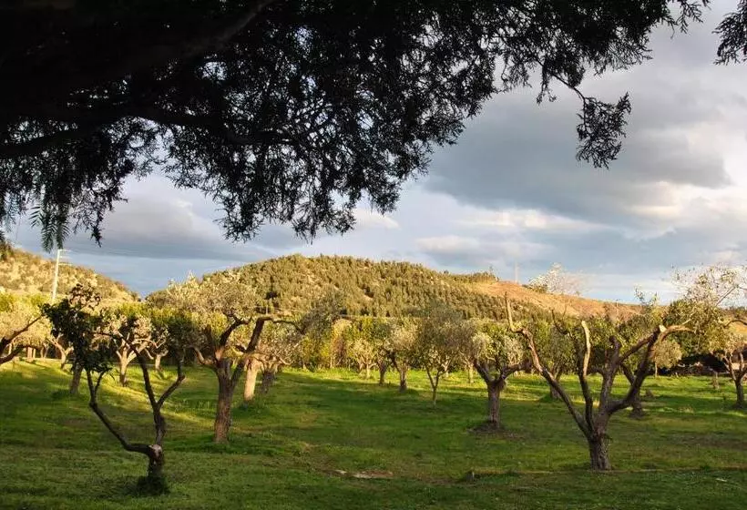 تختخواب و صبحانه Agriturismo La Mandragola Relais