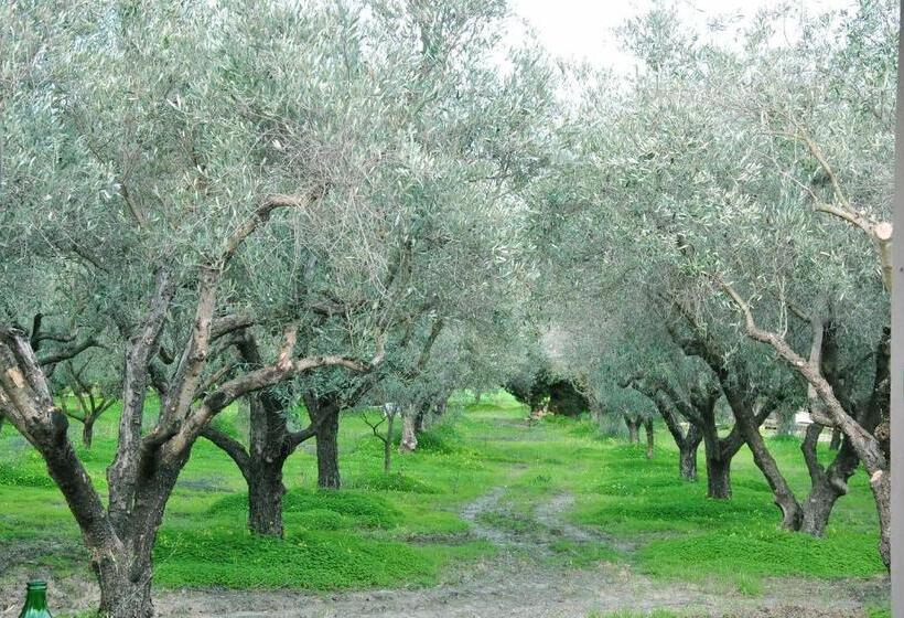 Bed and Breakfast Agriturismo La Mandragola Relais